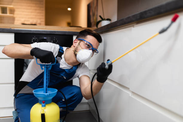 Best Emergency Pest Control  in Villa Ridge, MO