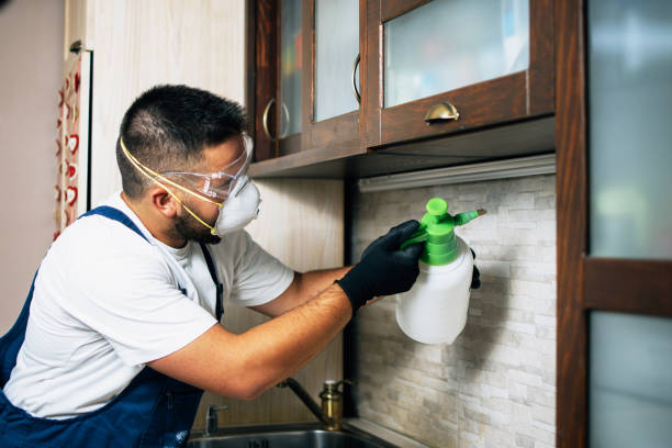 Best Emergency Pest Control  in Villa Ridge, MO