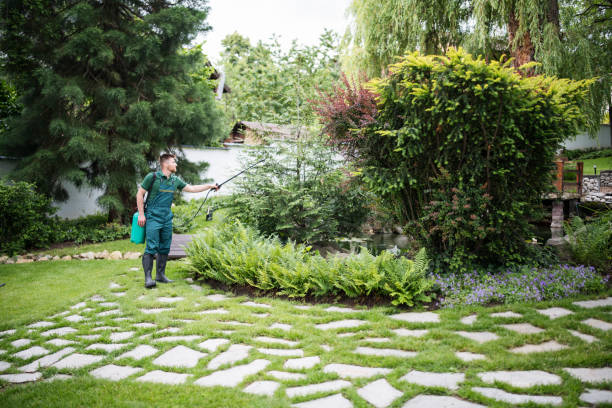 Best Residential Pest Control  in Villa Ridge, MO