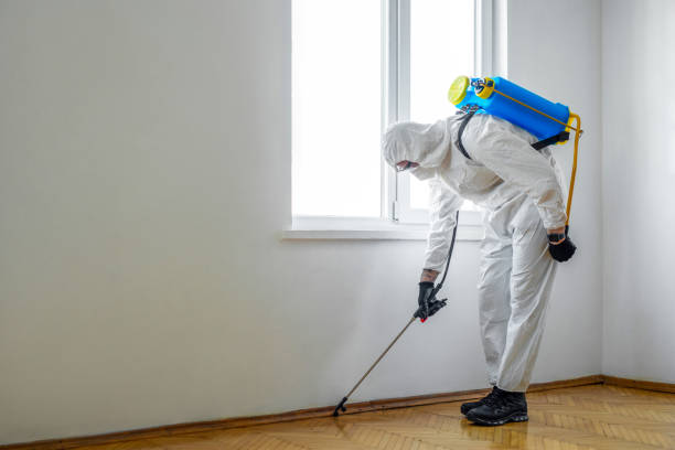 Best Best Pest Control Companies  in Villa Ridge, MO