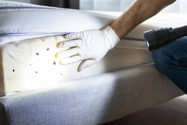 Best Commercial Pest Control Services  in Villa Ridge, MO
