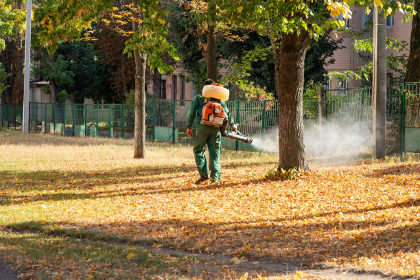 Best Residential Pest Control  in Villa Ridge, MO