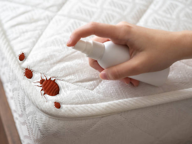 Trusted Villa Ridge, MO Pest Control Experts