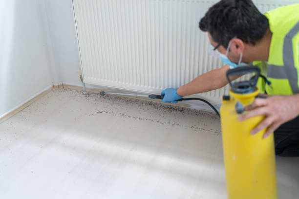 Best Rat Extermination Near Me  in Villa Ridge, MO