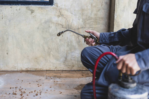 Best Mosquito Control Services  in Villa Ridge, MO